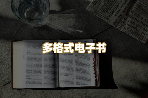 多格式电子书